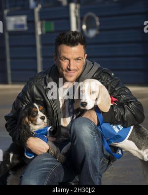 Peter Andre nennt zwei Hunde im Battersea Dogs & Cats Home nach den beiden Hauptfiguren in der neuen DreamWorks Animation Mr Peabody & Sherman, Battersea - London Stockfoto