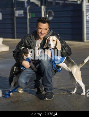 Peter Andre nennt zwei Hunde im Battersea Dogs & Cats Home nach den beiden Hauptfiguren in der neuen DreamWorks Animation Mr Peabody & Sherman, Battersea - London Stockfoto