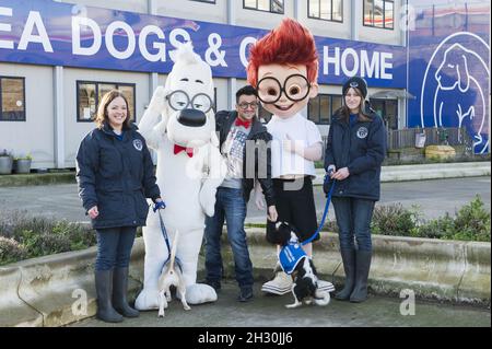 Peter Andre nennt zwei Hunde im Battersea Dogs & Cats Home nach den beiden Hauptfiguren in der neuen DreamWorks Animation Mr Peabody & Sherman, Battersea - London Stockfoto