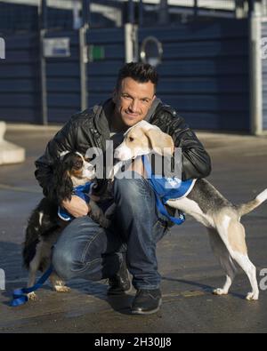 Peter Andre nennt zwei Hunde im Battersea Dogs & Cats Home nach den beiden Hauptfiguren in der neuen DreamWorks Animation Mr Peabody & Sherman, Battersea - London Stockfoto