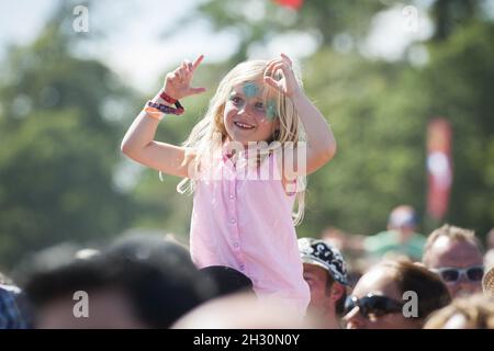 Festivalbesucher in der Menge beobachten Chas und Dave am 3. Tag des Camp Beestival 2014 im Lulworth Castle in Dorset Stockfoto