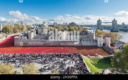 Gesamtansicht der von Paul Cummins entworfenen Mohn-Kunstinstallation mit dem Titel „Blood Swept Lands and Seas of Red“ im Trockengraben des Tower of London - London Stockfoto