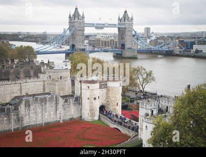 Gesamtansicht der von Paul Cummins entworfenen Mohn-Kunstinstallation mit dem Titel „Blood Swept Lands and Seas of Red“ im Trockengraben des Tower of London - London Stockfoto