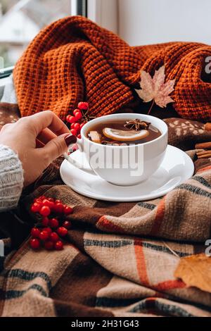 Herbststimmung Konzept. Heißer Tee mit Zitronen- und Zimtstangen auf kuscheligem Pullover-Schal-Hintergrund. Weibliche Hand mit roter Maniküre. Herbstblätter und Beeren c Stockfoto