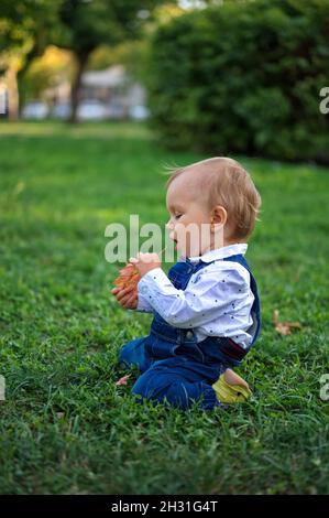 Niedliches kleines Baby kniet auf dem Gras in einem Park Stockfoto