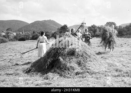 Schülerinnen des Schülerheims Kolonial Harzburg bei der Arbeit, Deutsches Reich 1937. Studenten der kolonialen Schule Harzburg am Arbeitsplatz; Deutschland 1937. Stockfoto