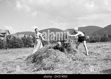 Schülerinnen des Schülerheims Kolonial Harzburg bei der Arbeit, Deutsches Reich 1937. Studenten der kolonialen Schule Harzburg am Arbeitsplatz; Deutschland 1937. Stockfoto