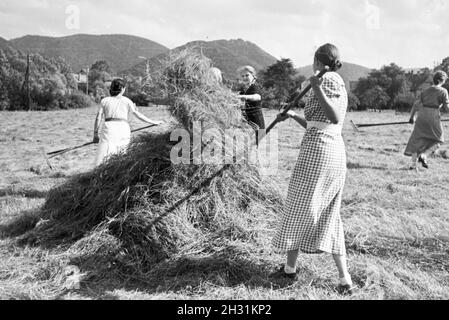 Schülerinnen des Schülerheims Kolonial Harzburg bei der Arbeit, Deutsches Reich 1937. Studenten der kolonialen Schule Harzburg am Arbeitsplatz; Deutschland 1937. Stockfoto