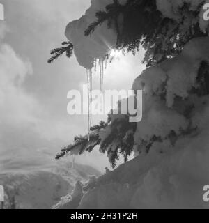 Eindruck aus dem Allgäu, Deutschland 1930er Jahre. Impessions Form im Allgaeu Ara, Deutschland 1930. Stockfoto