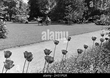 Zum Entspannen und Sonnenbaden einladende Grünanlage der Lichtentaler Allee in Baden-Baden, Deutschland, 1930er Jahre. Die grünen Gürtel der Lichtentaler Allee in Baden-Baden, einem ansprechenden Ort zum Sonnenbaden und Relaxen, Deutschland 1930. Stockfoto