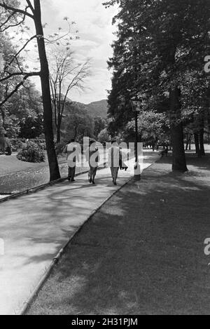 Lichtentaler Allee in Baden-Baden ist ein beliebtes und häufig besuchtes Ziel für Spaziergänger, Deutschland 1930er Jahre. Die Lichtentaler Allee in Baden-Bade ist ein beliebter und gut besuchter Platz für Kinderwagen, Deutschland 1930. Stockfoto