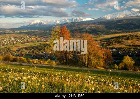 Herbst in den polnischen Bergen Stockfoto