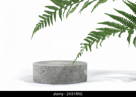 Zylindrisches Öko-Podium aus Stein auf weißem Hintergrund mit harten Schatten und tropischen Farnblättern. Minimale leere kosmetische Produkt Präsentation scen Stockfoto