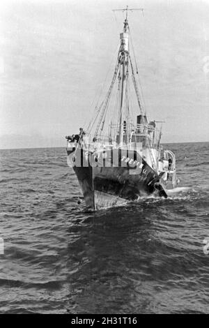 Das Fangboot' Treff III "vom Mutterschiff "Jan Wellem" der deutschen Walfangflotte in der Arktis, 1930er Jahre. Walfang Boot "Treff III" der Mutter Schiff "Jan Wellem" des Deutschen Walfangflotte im Arktischen Meer, 1930er Jahre. Stockfoto