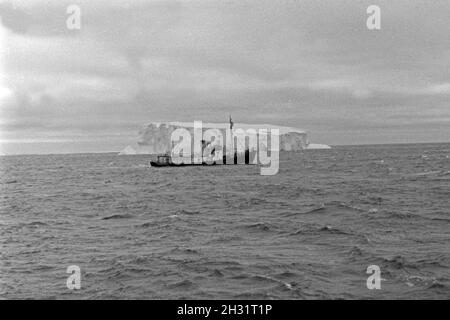 Das Fangboot' Treff VII" vom Mutterschiff "Jan Wellem" der deutschen Walfangflotte vor einem Eisberg in der Arktis, 1930er Jahre. Walfang Boot "Treff VII" von Mutter Schiff "Jan Wellem" des Deutschen walfangflotte vor einem Eis berg im Arktischen Meer, 1930er Jahre. Stockfoto