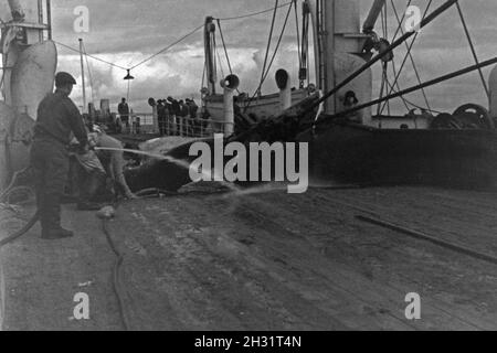 Der Kadaver eines Wals wird der Taskliste mit klarem Wasser abgespritzt ein Bord des Fabrikschiffs Walfang "Jan Wellem" der deutschen Walfangflotte, 1930er Jahre. Die Leiche eines Wals wird mit klarem Wasser auf dem Deck der Fähre "Jan Wellem" des Deutschen Walfangflotte gereinigt, 1930er Jahre. Stockfoto