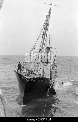 Das Fangboot' Treff VI' vom Mutterschiff "Jan Wellem" der deutschen Walfangflotte in der Arktis, 1930er Jahre. Walfang Boot "Treff VI' von Mutter Schiff "Jan Wellem" des Deutschen Walfangflotte im Arktischen Meer, 1930er Jahre. Stockfoto