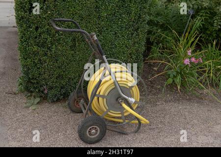 Gelbe Schlauchpfeife, die auf einem rostigen Metallwagen oder Wagen mit einer Gießlanze auf einem Fußweg in einem Country Cottage Garden in Rural Devon, England, aufgewickelt ist Stockfoto