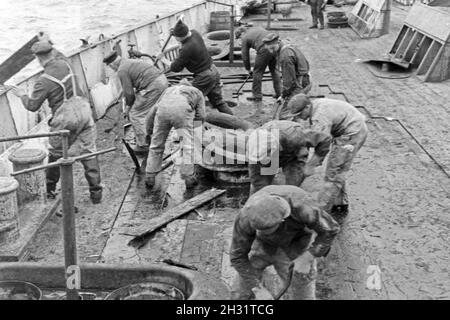 Die Männer des Fabrikschiffs "Jan Wellem" bei ihrer Arbeit ein Deck, 1930er Jahre. Die Crew der Fabrik Schiff "Jan Wellem" Arbeiten an Deck, 1930er Jahre. Stockfoto