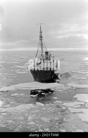 Fangboot' Treff V' der deutschen Walfangflotte im Eismeer der Antarktis, 1930er Jahre. Walfang Boot "Treff V" des Deutschen Walfangflotte auf der antarktischen Meer, 1930er Jahre. Stockfoto