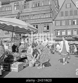 Einkaufen auf dem Wochenmarkt am Herkulesbrunnen vor dem Rathaus in Heidelberg, Deutschland 1956. Gemüsestand auf dem Wochenmarkt rund um den Herkules-Brunnen in der Nähe des Heidelberger Rathauses, Deutschland 1956. Stockfoto