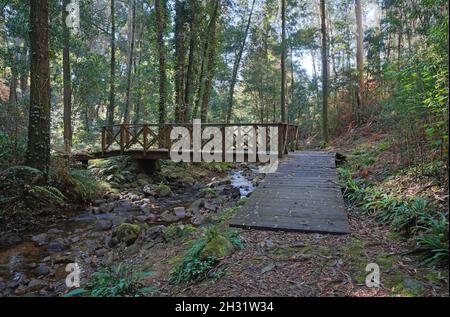 Wanderweg entlang eines kleinen Flusses mit einer Holzbrücke im Wald, Rio De La Fraga, Spanien, Galicien, Provinz Pontevedra Stockfoto