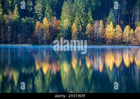 Idyllische Herbstlandschaft mit bunten grünen und gelben Bäumen, die sich im See spiegeln. Siebenbürgen, Saint Anne Lake. Stockfoto