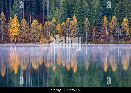 Idyllische Herbstlandschaft mit bunten grünen und gelben Bäumen, die sich im See spiegeln. Siebenbürgen, Saint Anne Lake. Stockfoto