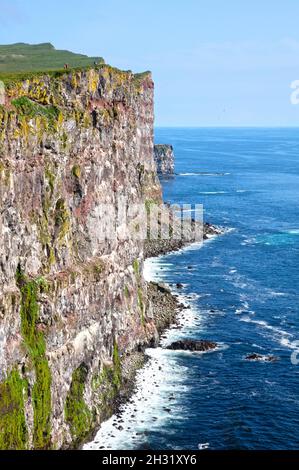 Diese majestätischen hohen Klippen befinden sich im Vorgebirge von Latrabjarg, dem westlichsten Punkt Islands - Heimat von Millionen von Vögeln, sie sind Europas größte Vogelklippe Stockfoto