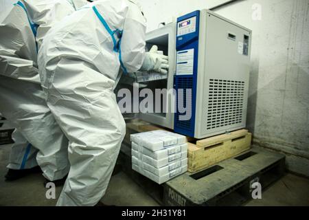 Kathmandu, Bagmati, Nepal. Oktober 2021. Sanitäter, die in persönlicher Schutzausrüstung aufgesetzt wurden, laden den von den USA gespendeten Pfizer Anti-COVID-Impfstoff am Montag in einen Kühlschrank in einer lokalen Lagereinrichtung in Kathmandu. Nepal erhielt eine Tranche von 100,620 Dosen des Pfizer-Impfstoffs, der zur Impfung der Jugendlichen Bevölkerung mit längeren Gesundheitszuständen verwendet werden sollte. DIE USA hatten Anfang Juli auch mehr als eine Million Dosen J&J-Impfstoff an die Himalayan Nation gespendet. Quelle: Amit Machamasi/ZUMA Wire/Alamy Live News Stockfoto