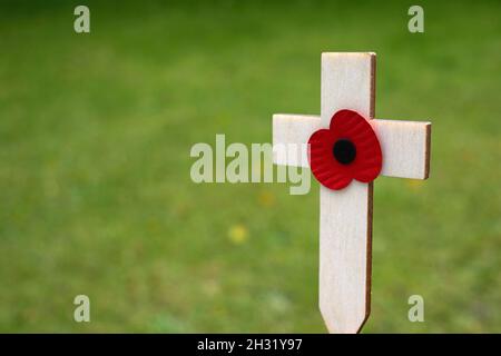 Rote Welpen Blume auf dem kleinen Holzkreuz im grünen Gras platziert. Mohngedenktag Kreuz auf einem Feld Stockfoto