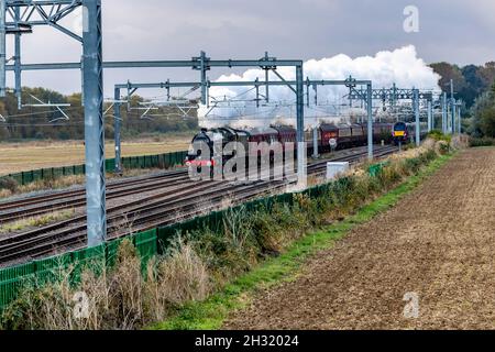 Wellingborough, Großbritannien. Oktober 2021. Bahamas eine Dampflokomotive der Jubilee-Baureihe 5596, die 1934 für die LMS gebaut wurde und durch Northamptonshire bis York j führt Stockfoto