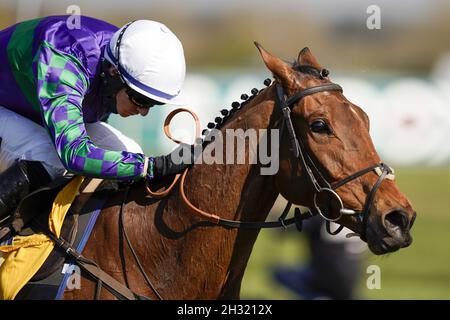 Aktenfoto vom 10-04-2021 von Thyme Hill unter Tom O'Brien. Philip Hobbs wird sich freuen, seinen heißen Saisonstart fortzusetzen, wenn er im nächsten Monat den Stallstar Thyme Hill zum Grand Prix d'Automne bei Auteuil nach Frankreich bringt. Ausgabedatum: Montag, 25. Oktober 2021. Stockfoto