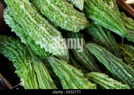 Bitter Melone, Momordica Charantiar Stockfoto