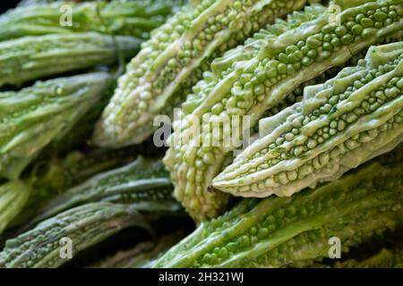 Bitter Melone, Momordica Charantiar Stockfoto