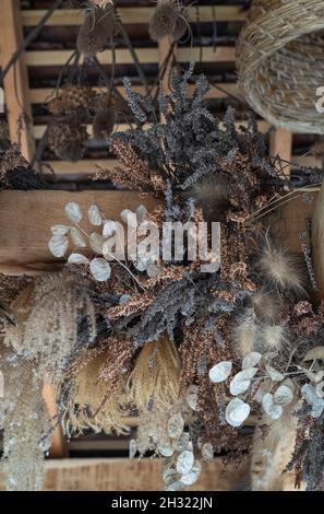 Getrocknete Pflanzen, die im Herbst von einem Dach in den RHS Wisley Gardens, Surrey, Großbritannien, hängen Stockfoto