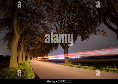 Ein Auto, das durch eine Allee mit Herbstbäumen fährt. Stockfoto