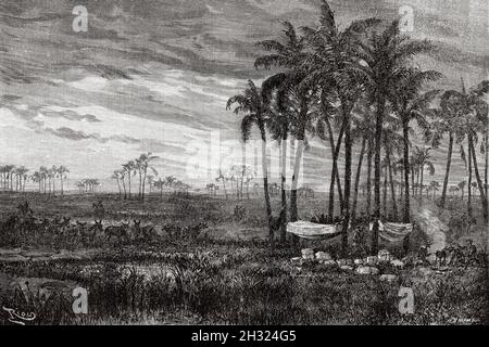 Camp in der Mündung neben den Palmen, Paraguay Fluss. Paraguay, Südamerika. Alte eingravierte Illustration aus dem 19. Jahrhundert, Expedition zum Pilcomayo-Delta des französischen Entdeckers Emile Arthur Thouar aus Le Tour du Monde 1889 Stockfoto