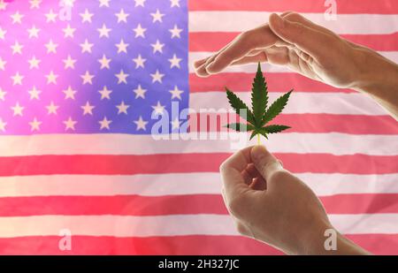 Frauenhand mit einem Marihuanablatt aus einer Hanfpflanze für medizinischen Cannabis oder CBD auf dem Hintergrund der Flagge der USA. Medizinischer Marihuanaanbau in Stockfoto