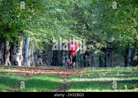 Clumber Park, Nottinghamshire, England, Großbritannien. Oktober 2021. Wetter in Großbritannien. Menschen genießen ihren Herbstmorgen beim Training entlang der Lime Tree Avenue im Clumber Park, Nottinghamshire, England. Kredit: Alan Keith Beastall/Alamy Live Nachrichten Stockfoto