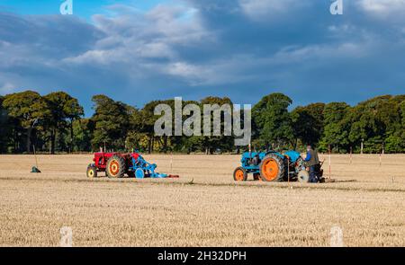 Oldtimer-Traktoren, die Furchen im Feld pflügen, in East Lothian, Schottland, Großbritannien Stockfoto