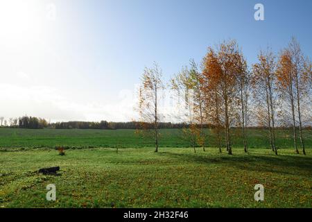 Beste Möglichkeiten, Zeit und Geld für die nächste Generation zu investieren. Stockfoto