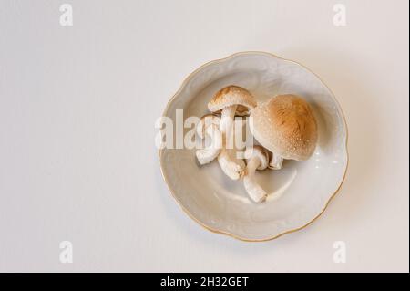 Frische Shiitake-Pilze liegen auf einem Teller auf weißem Hintergrund. Nahaufnahme von oben mit Kopierbereich. Stockfoto