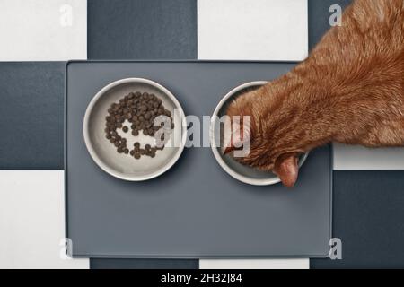 Rote Katze, die feuchtes Futter neben einer Futterschüssel mit trockenem Futter isst, direkt von oben gesehen. Stockfoto