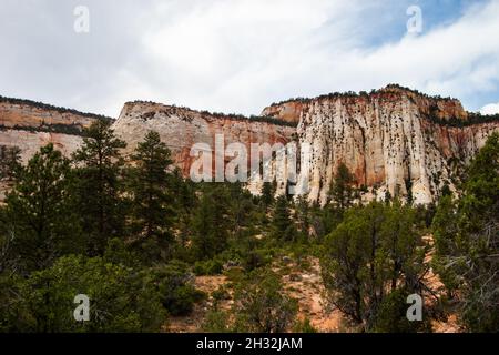 Atemberaubende Felswände im Zion National Park unter wolkig-blauem Himmel am Sommer | wunderschönes Panorama von Sandsteinformationen, felsigen Klippen, Hängen, Felsvorsprüngen Stockfoto