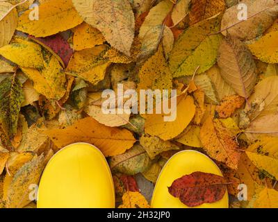 Person Füße in gelben Gummistiefeln stehen auf gefallenen Blättern im Freien. Stockfoto