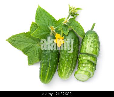 Frisch gemahlene Gurken mit Blättern und Blüten isoliert auf weißem Hintergrund. Draufsicht Stockfoto