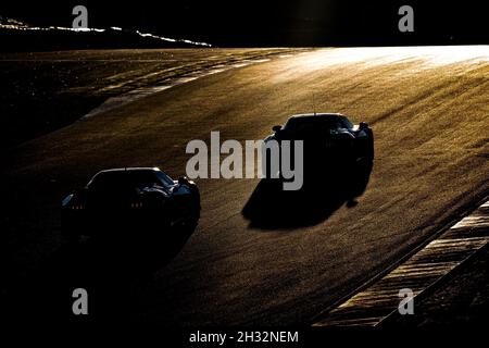 Strecke, Piste, Ambiente Rennen während der Hitze 6 - Portimao der Ligier European Series Saison 2021, vom 21. Bis 24. Oktober 2021 auf dem Algarve International Circuit, in Portimao, Portugal - Foto Paulo Maria / DPPI Stockfoto