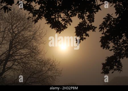 Am frühen Morgen walisischer Sonnenaufgang, im Ciliau Aeron. Das Beste der Natur. Stockfoto