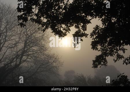 Am frühen Morgen walisischer Sonnenaufgang, im Ciliau Aeron. Das Beste der Natur. Stockfoto